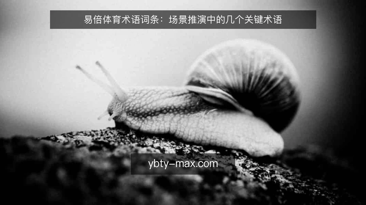 易倍体育术语词条:场景推演中的几个关键术语