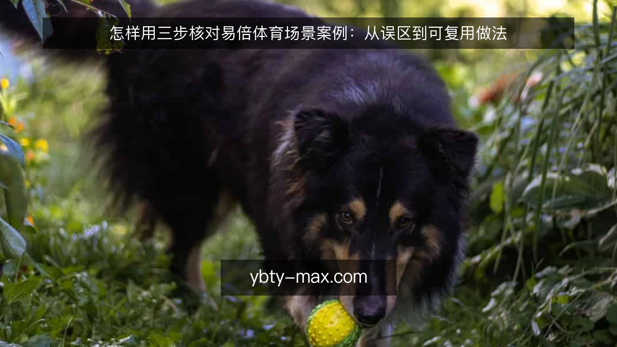 怎样用三步核对易倍体育场景案例：从误区到可复用做法